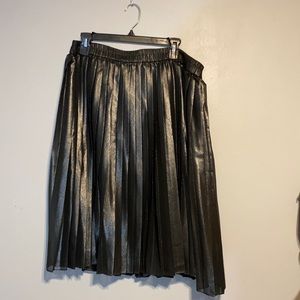Pleated Skirt